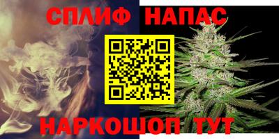 индика Будённовск
