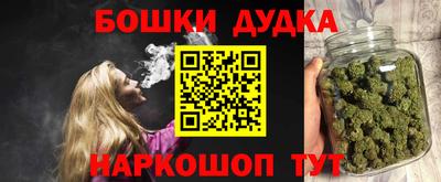 индика Будённовск