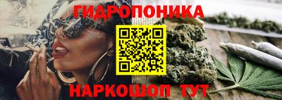 индика Будённовск